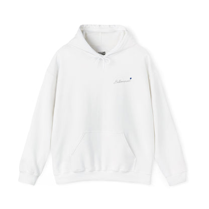 BALLOONERISM_HOODIE