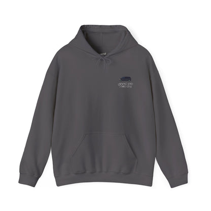 GOOD_KID_MAAD_CITY_HOODIE